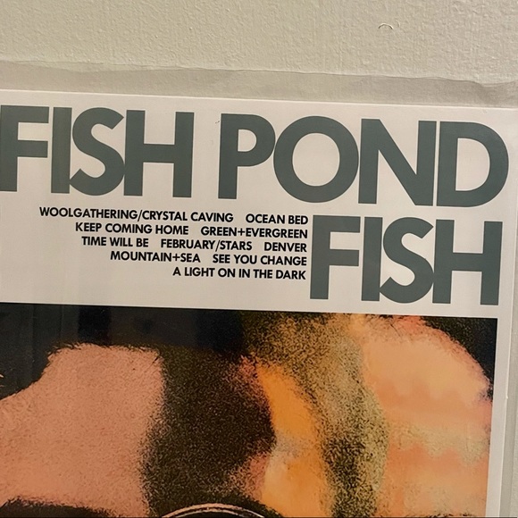 New in plastic Darlingside Fish Pond Fish Vinyl - Picture 6 of 9